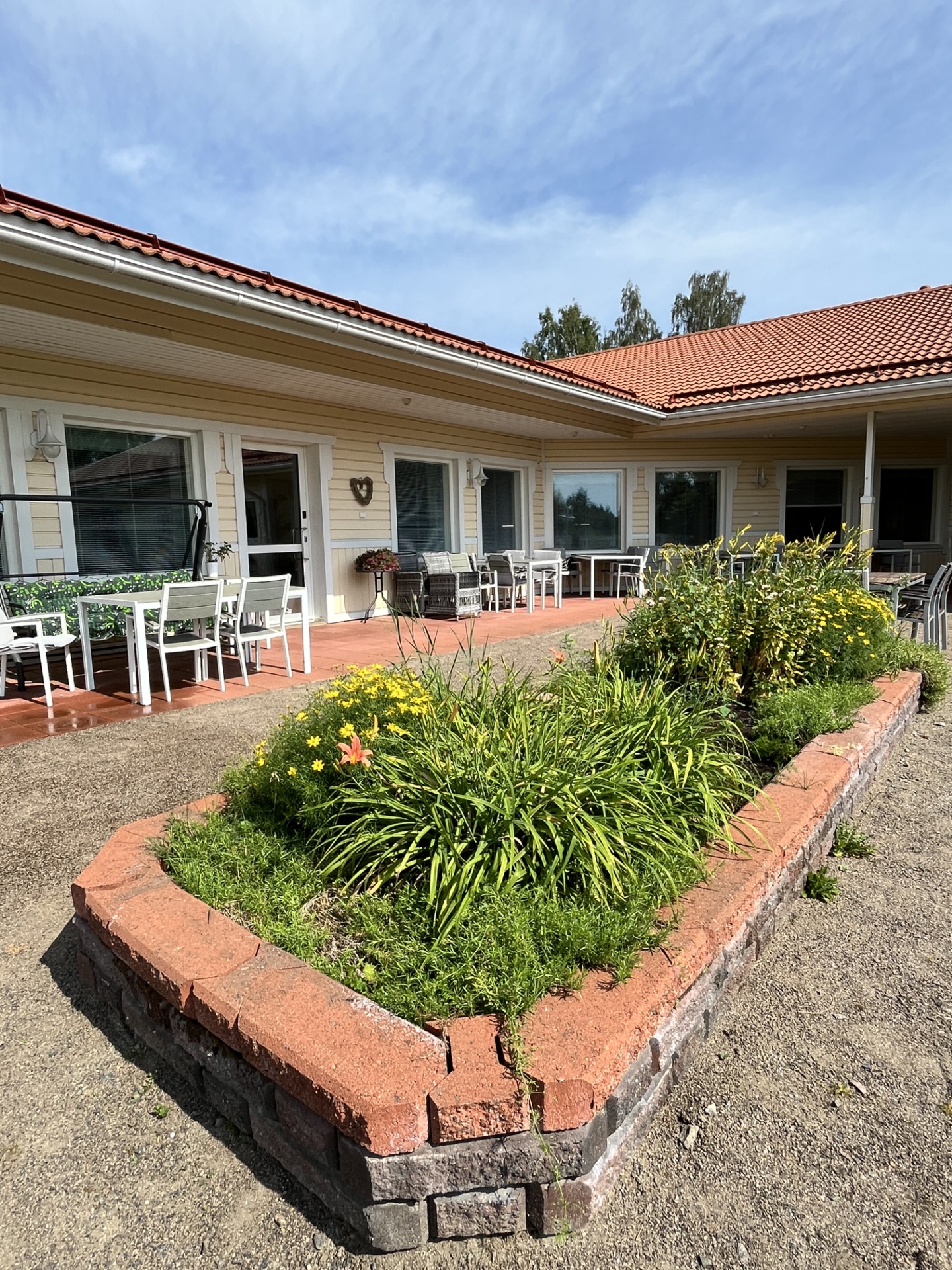 Mainiokoti Iltatuulen takapihan perenna