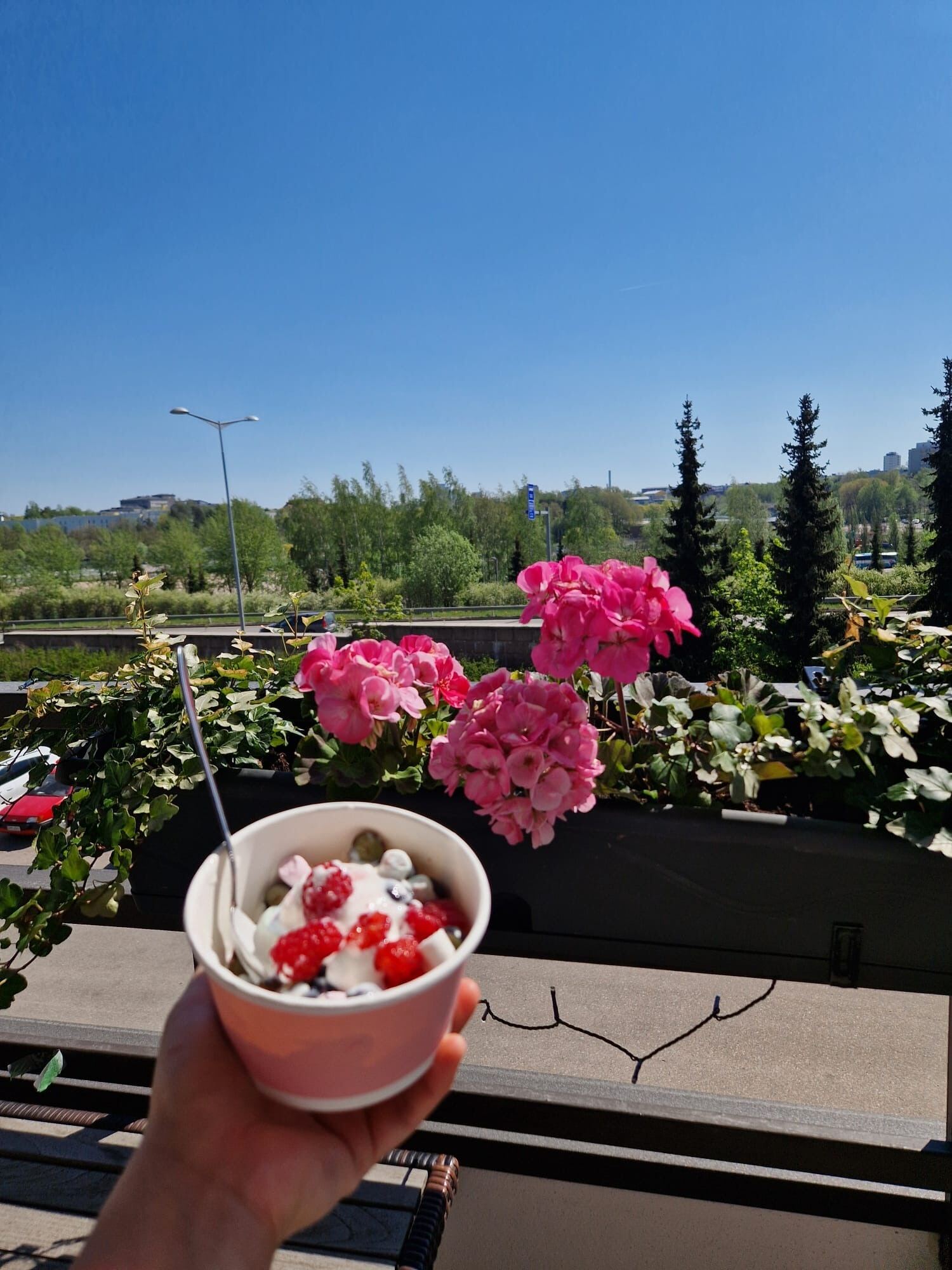 Mainiokoti Käpylän terassikukkia ja kupillinen jäätelöä ihmisen kädessä